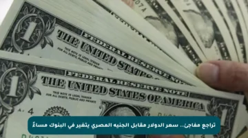 تراجع مفاجئ.. سعر الدولار مقابل الجنيه المصري يتغير في البنوك مساءً
